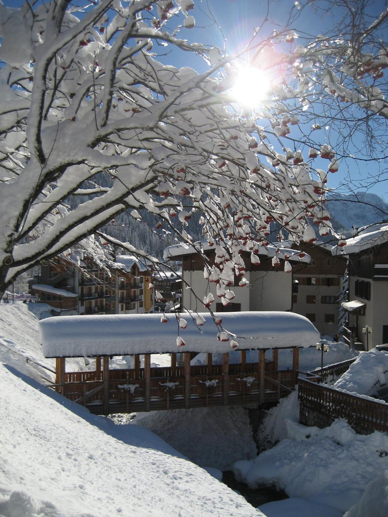 Hotel Garni Dello Sportivo Madonna